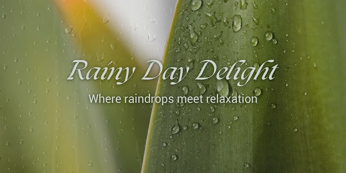 RainyDayDelight - WEB2 RainyDayDelight - WEB2